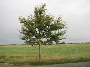 Greenwich Meridian Marker; England; Lincolnshire; Fulstow